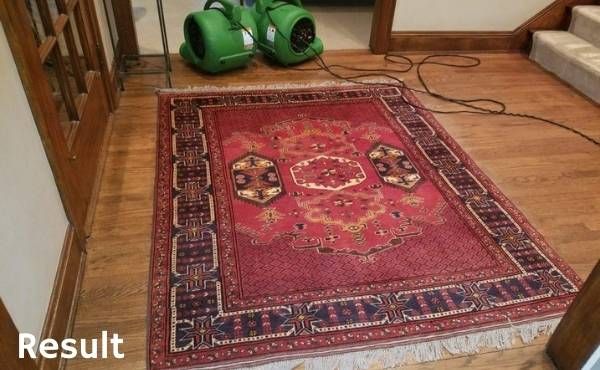 Result Area Rug Cleaning Lisbon Wi